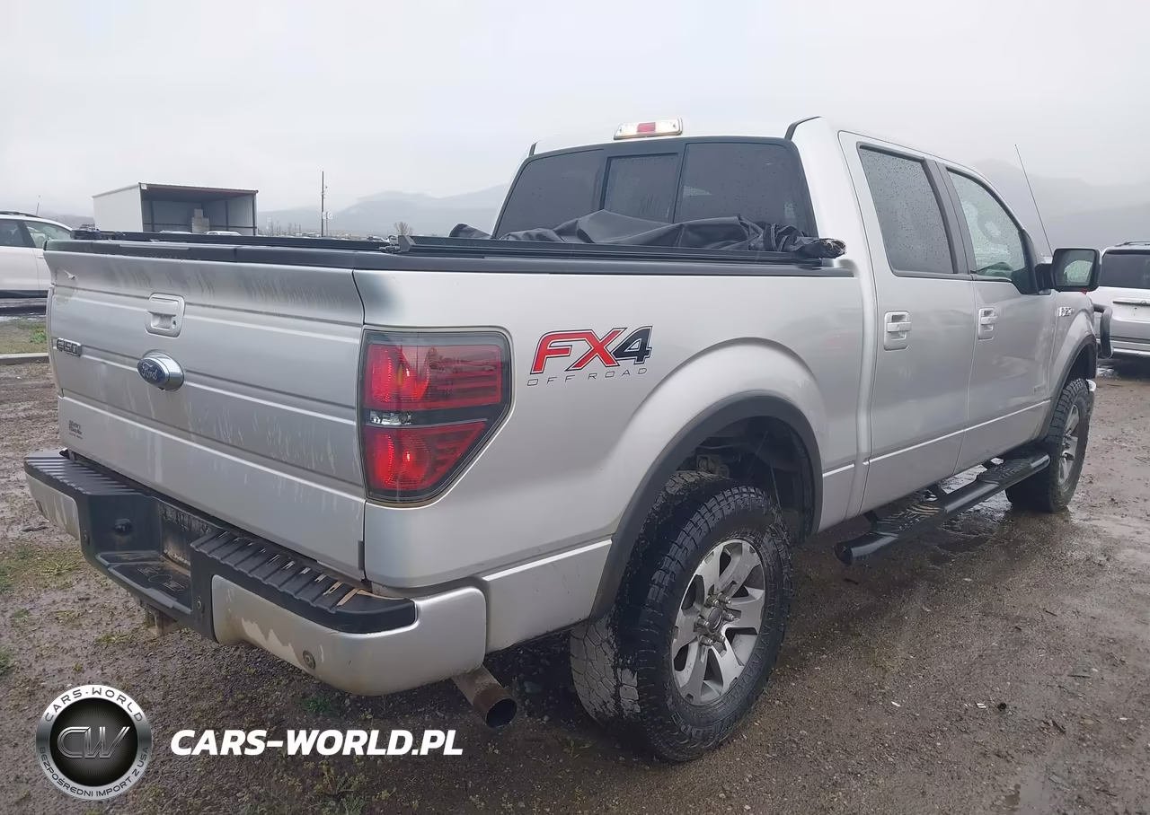 2014 Ford F-150 Fx4 VIN:1FTFW1ET4EKD39843 - 4