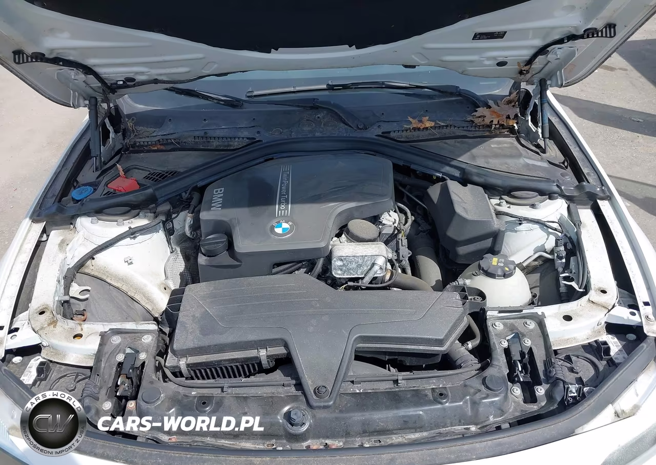 2016 BMW 320I VIN:WBA8A9C56GK619323 - 10