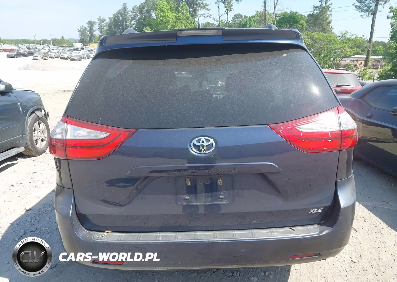 2019 Toyota Sienna Xle 8 Passenger VIN:5TDYZ3DC6KS996788 - 16