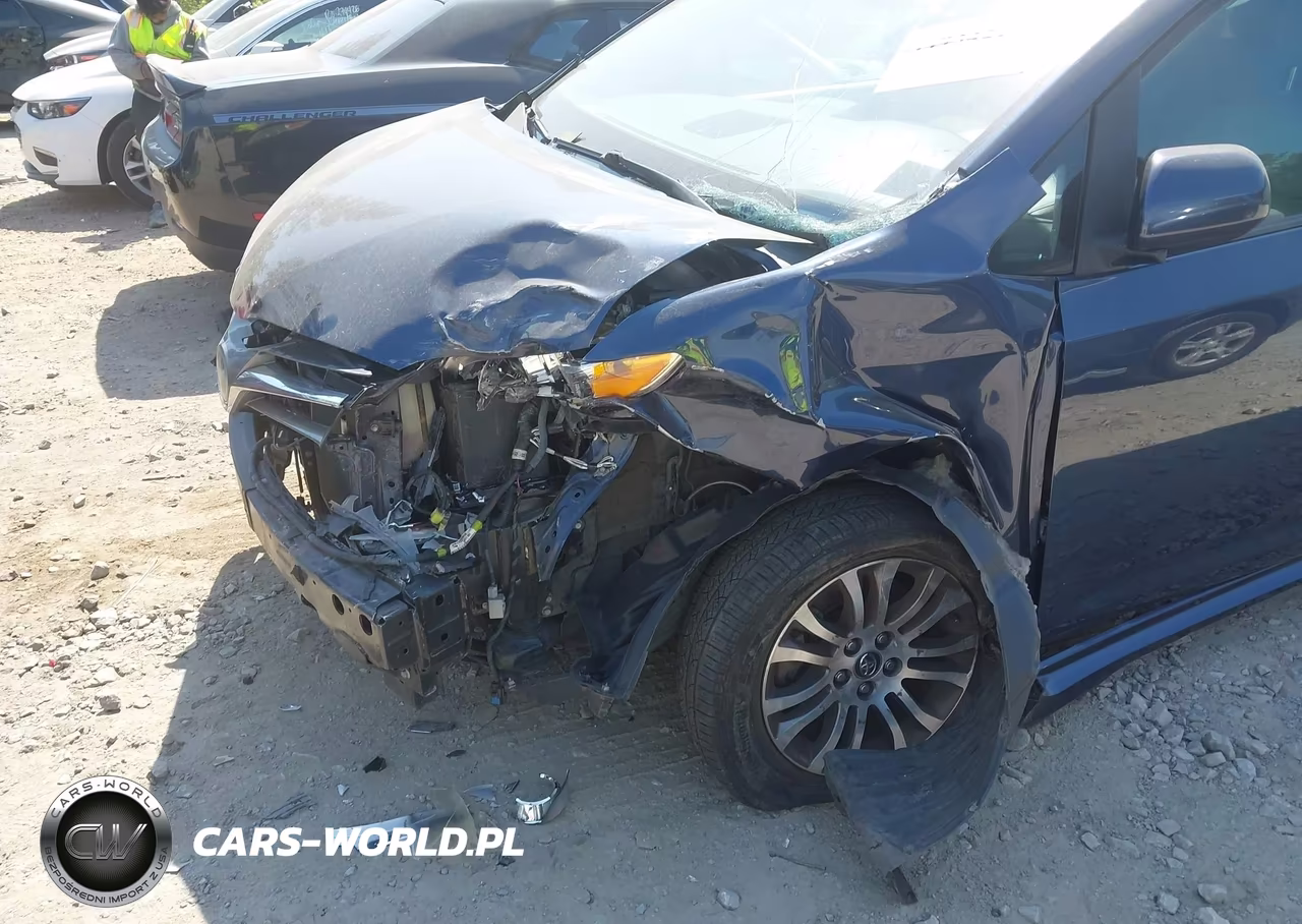 2019 Toyota Sienna Xle 8 Passenger VIN:5TDYZ3DC6KS996788 - 6