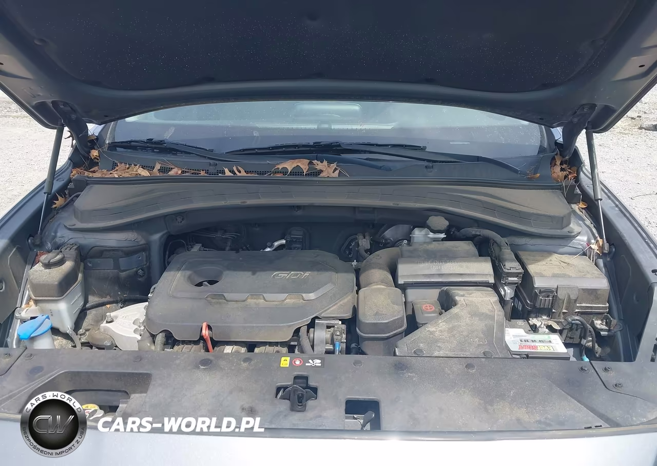 2019 Hyundai Santa Fe Sel VIN:5NMS33AD3KH085857 - 10