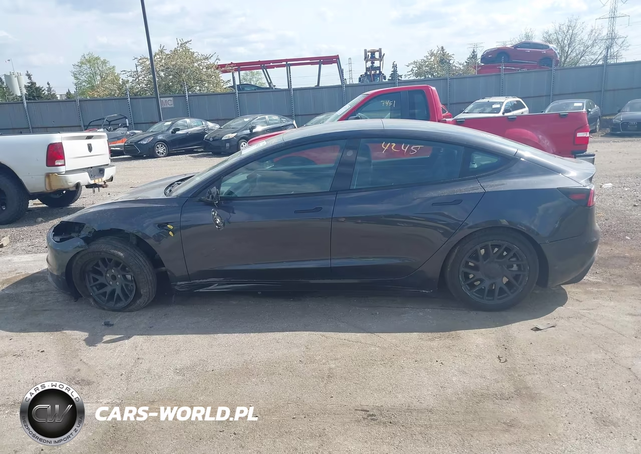 2025 Tesla Model 3 Long Range Rear-Wheel Drive-Standard Rear-Wheel Drive VIN:5YJ3E1EA6SF984362 - 15