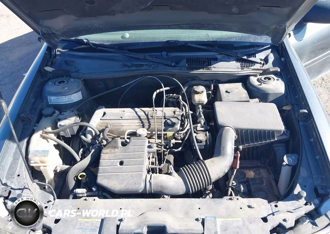 2005 Chevrolet Classic VIN:1G1ND52F95M176031 - 10