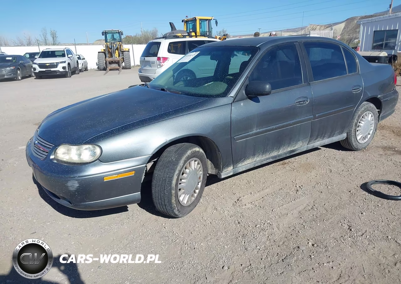 2005 Chevrolet Classic VIN:1G1ND52F95M176031 - 2