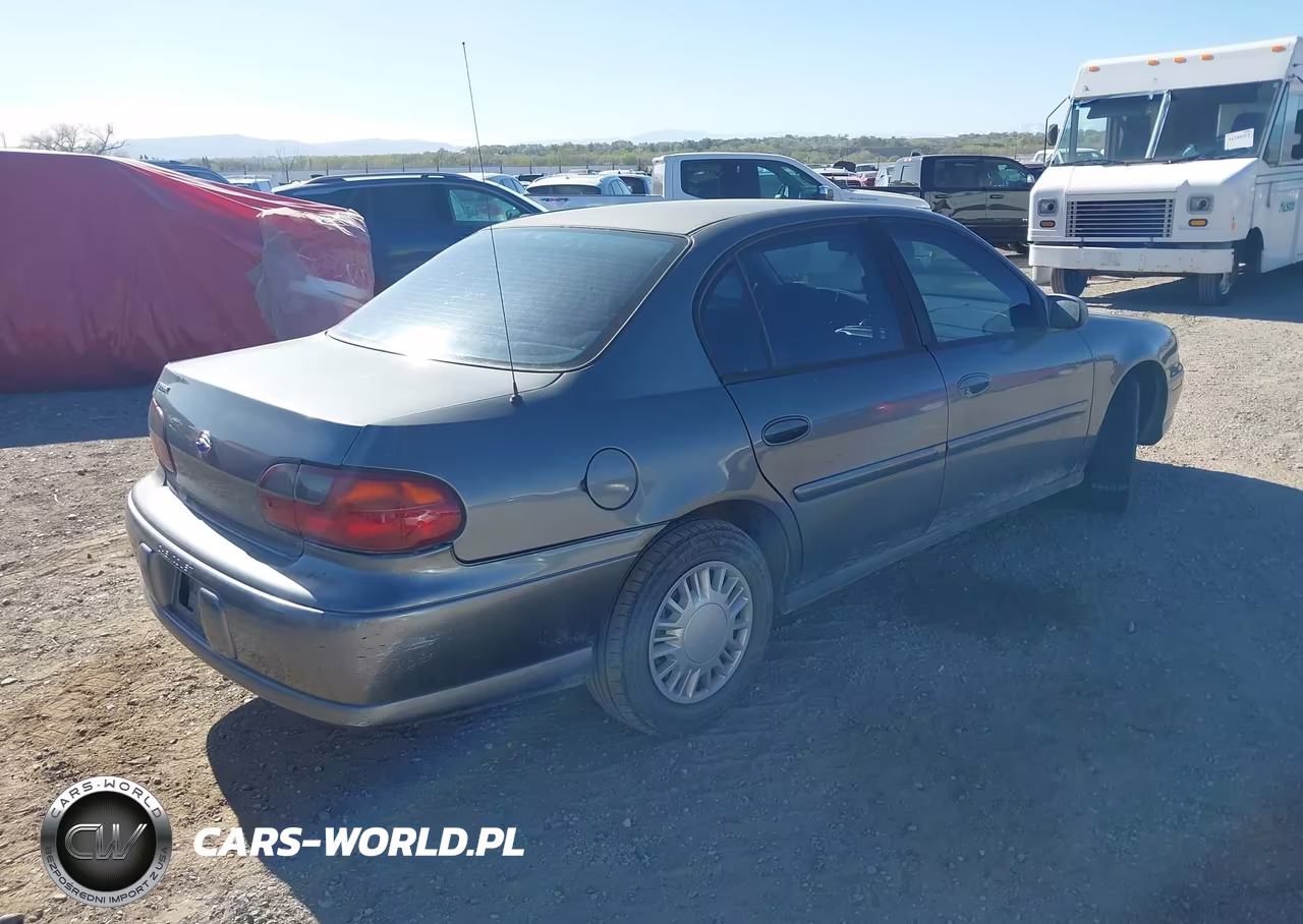 2005 Chevrolet Classic VIN:1G1ND52F95M176031 - 4