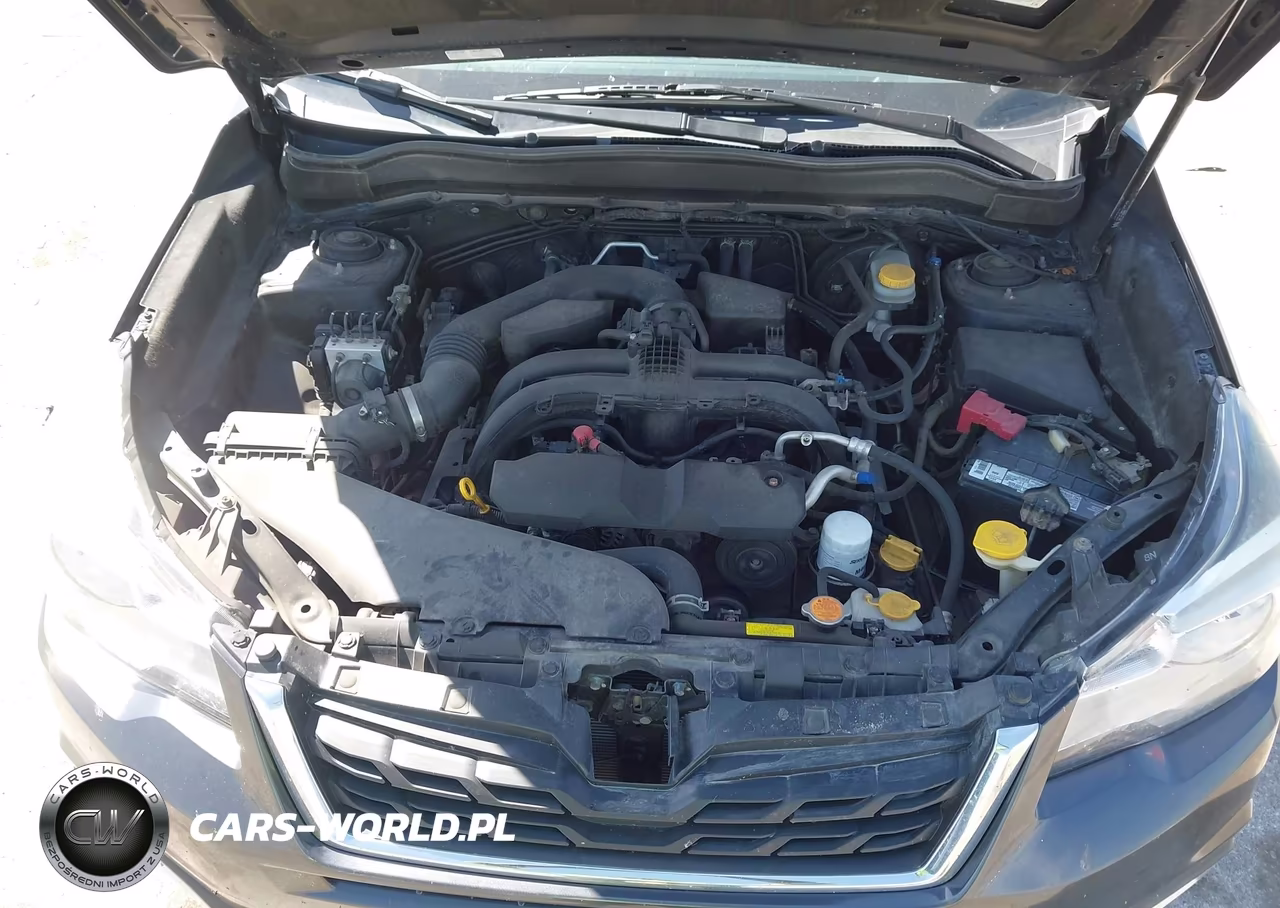 2017 Subaru Forester 2.5I Premium VIN:JF2SJAEC2HH480877 - 10
