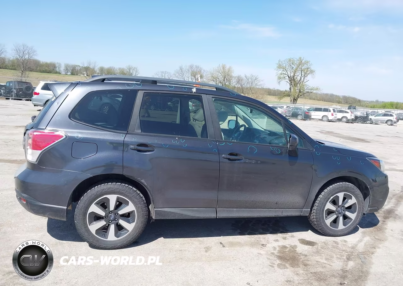 2017 Subaru Forester 2.5I Premium VIN:JF2SJAEC2HH480877 - 13