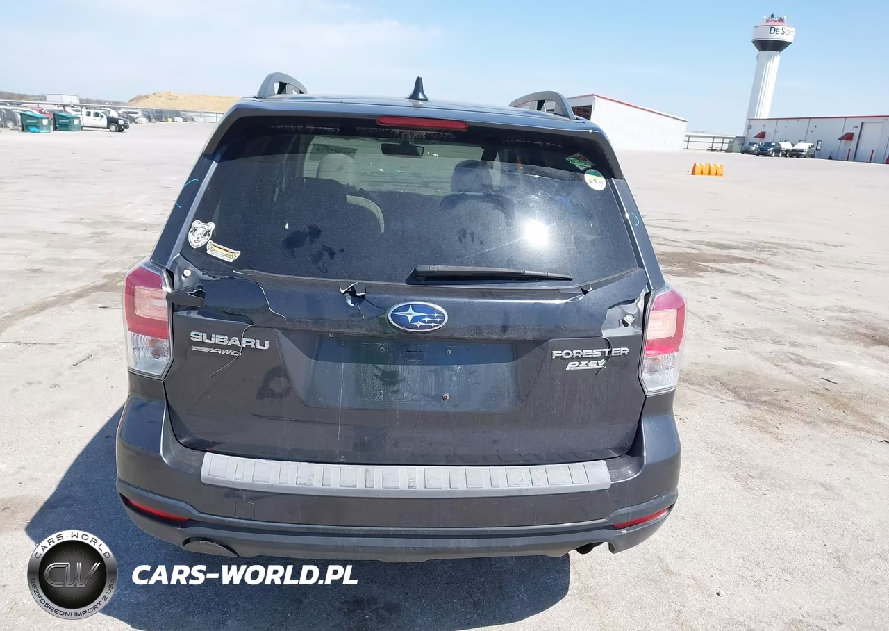 2017 Subaru Forester 2.5I Premium VIN:JF2SJAEC2HH480877 - 16
