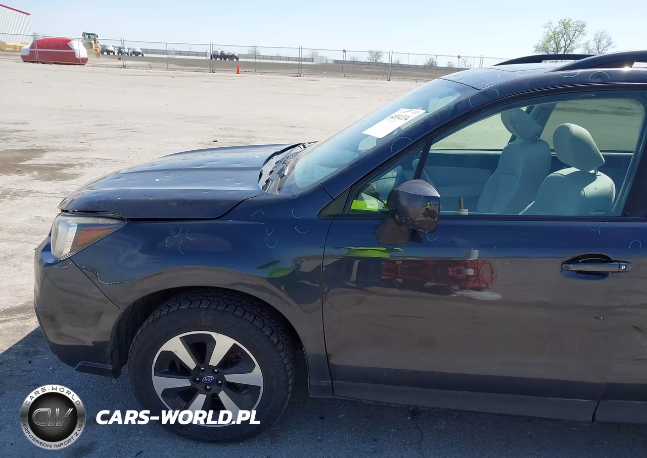 2017 Subaru Forester 2.5I Premium VIN:JF2SJAEC2HH480877 - 17
