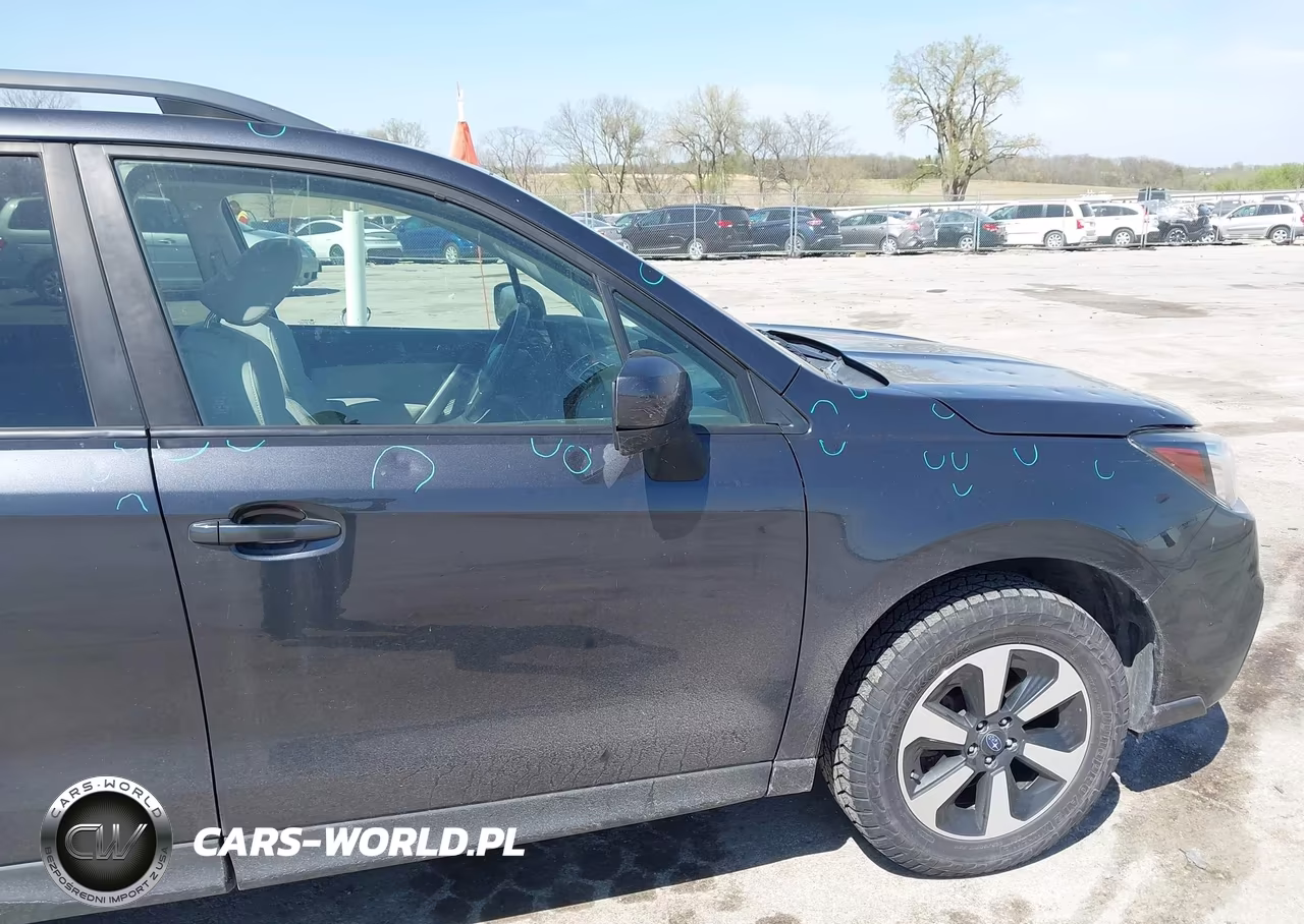 2017 Subaru Forester 2.5I Premium VIN:JF2SJAEC2HH480877 - 19