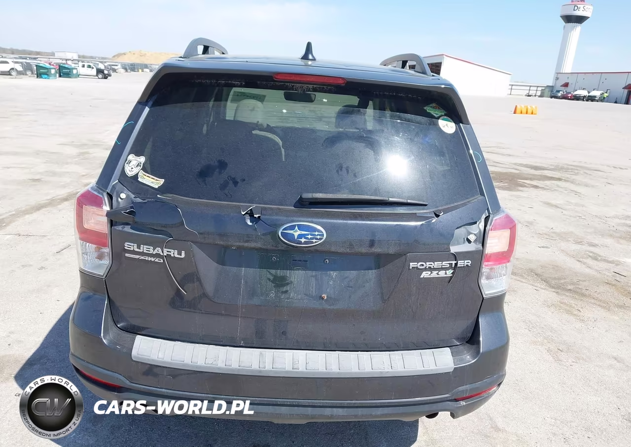 2017 Subaru Forester 2.5I Premium VIN:JF2SJAEC2HH480877 - 21