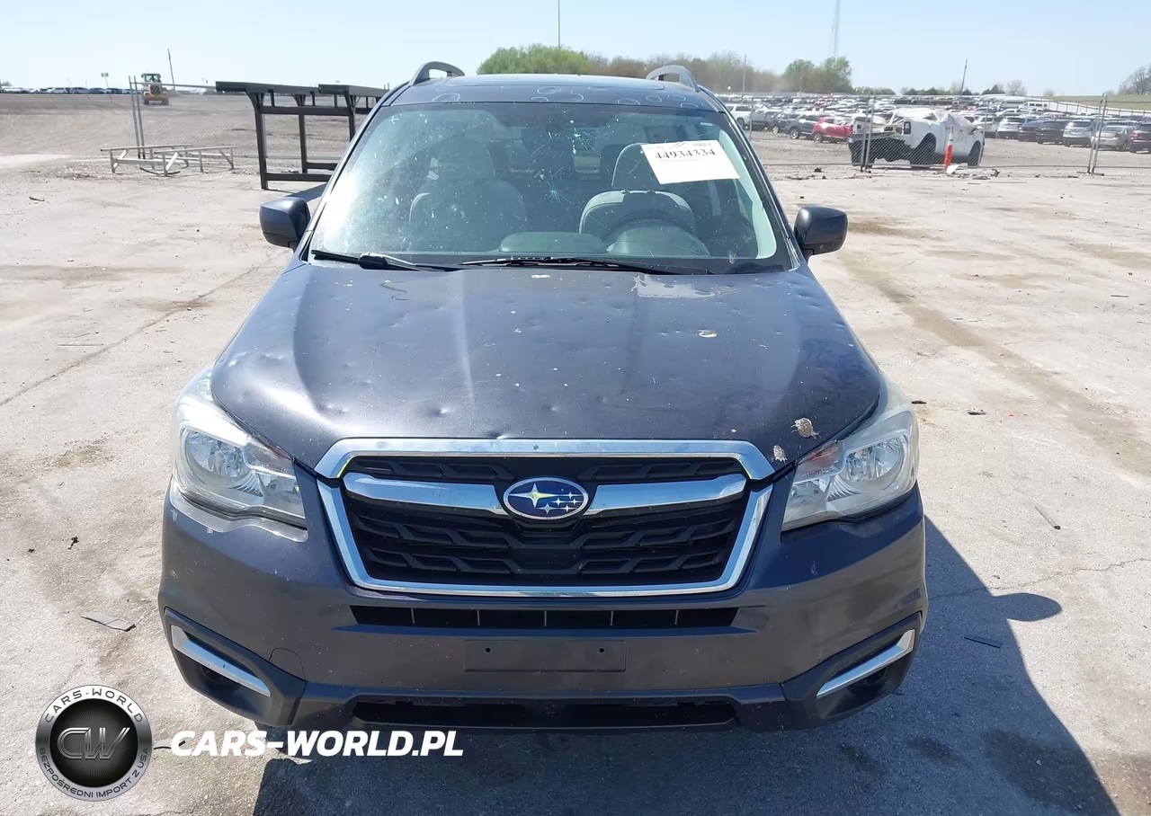 2017 Subaru Forester 2.5I Premium VIN:JF2SJAEC2HH480877 - 6