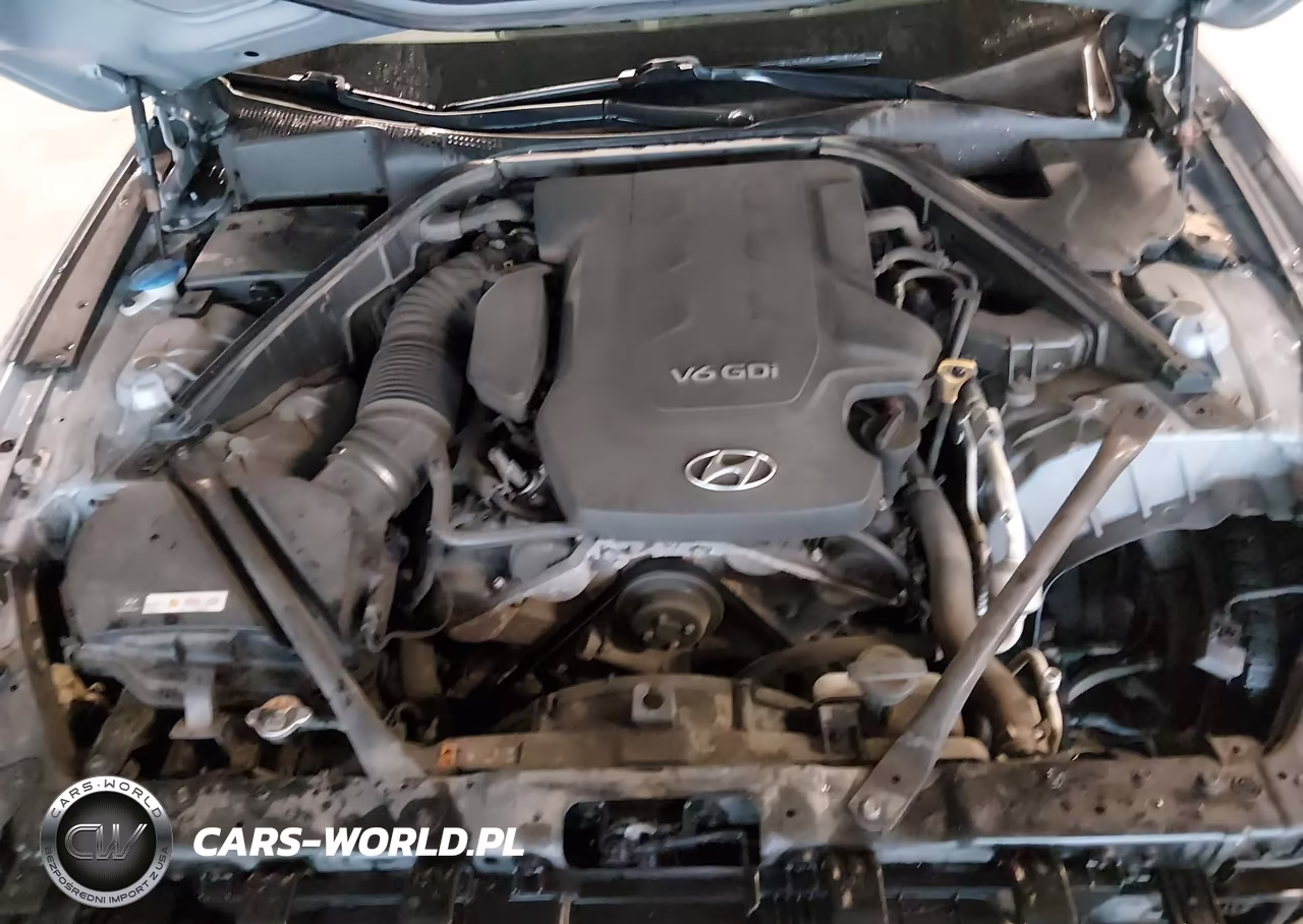 2015 Hyundai Genesis 3.8 VIN:KMHGN4JE4FU071409 - 10