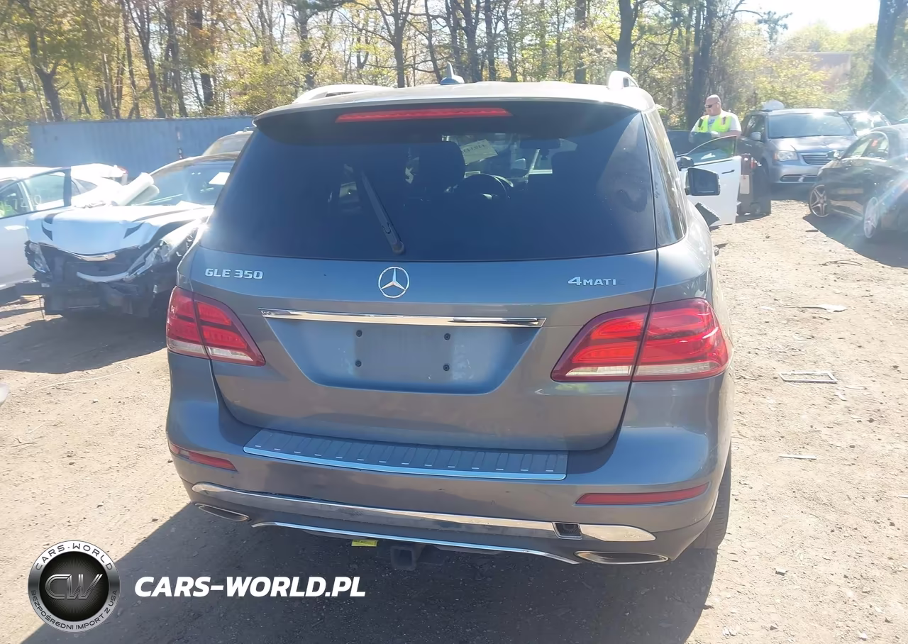 2017 Mercedes-Benz Gle 350 4Matic VIN:4JGDA5HBXHA865173 - 16