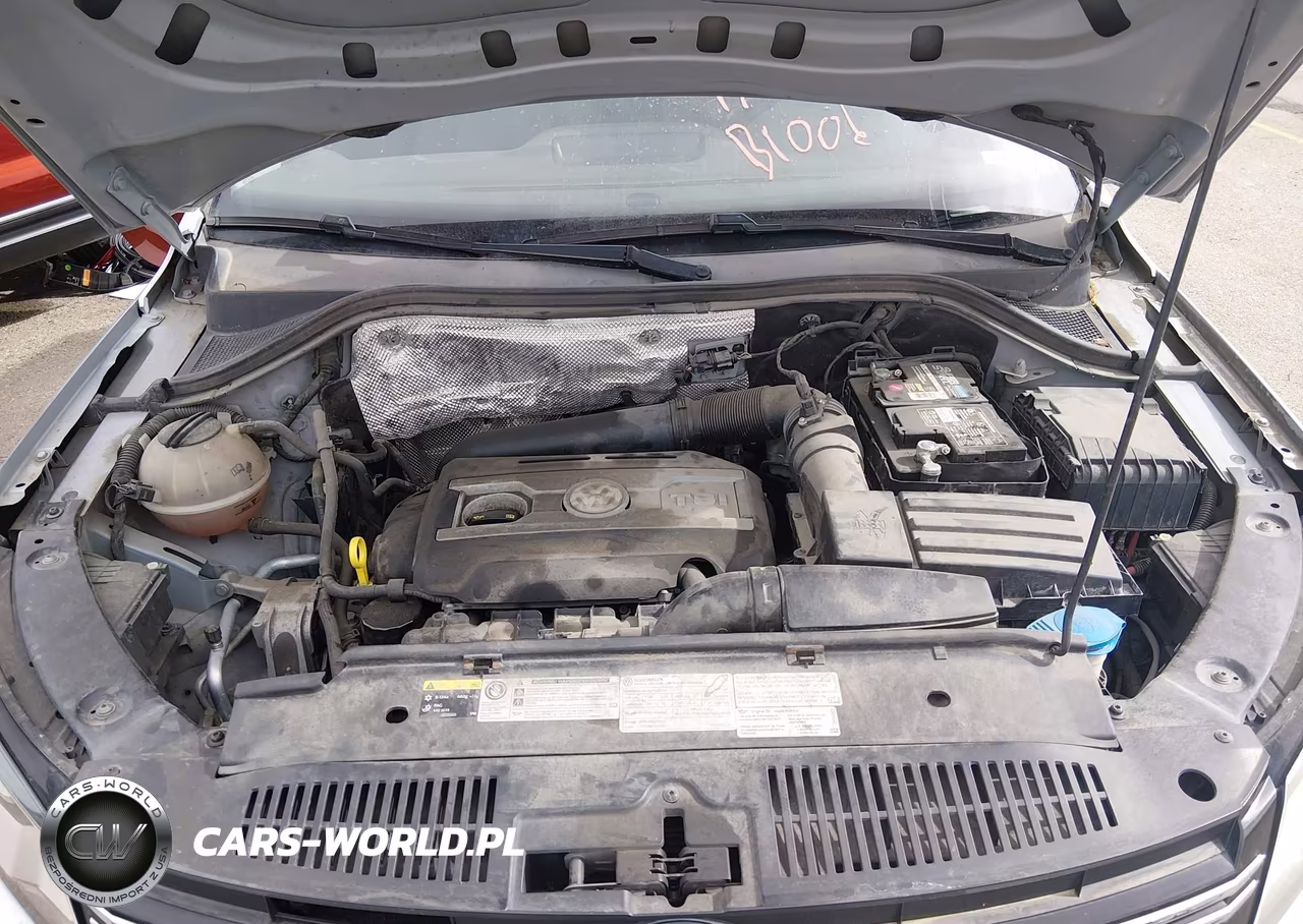 2016 Volkswagen Tiguan Se VIN:WVGBV7AX6GW586625 - 10