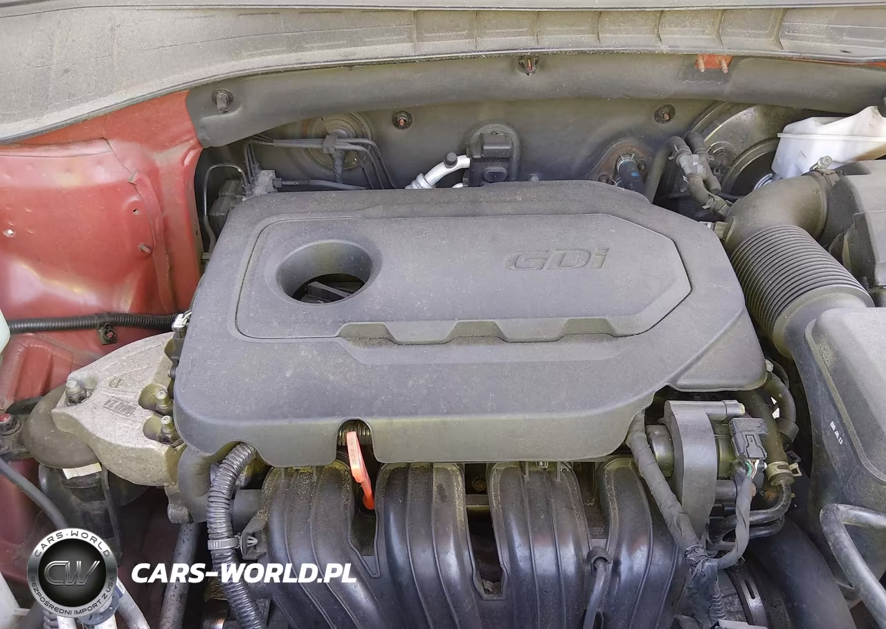 2019 Kia Sorento 2.4L Lx VIN:5XYPGDA35KG534571 - 10