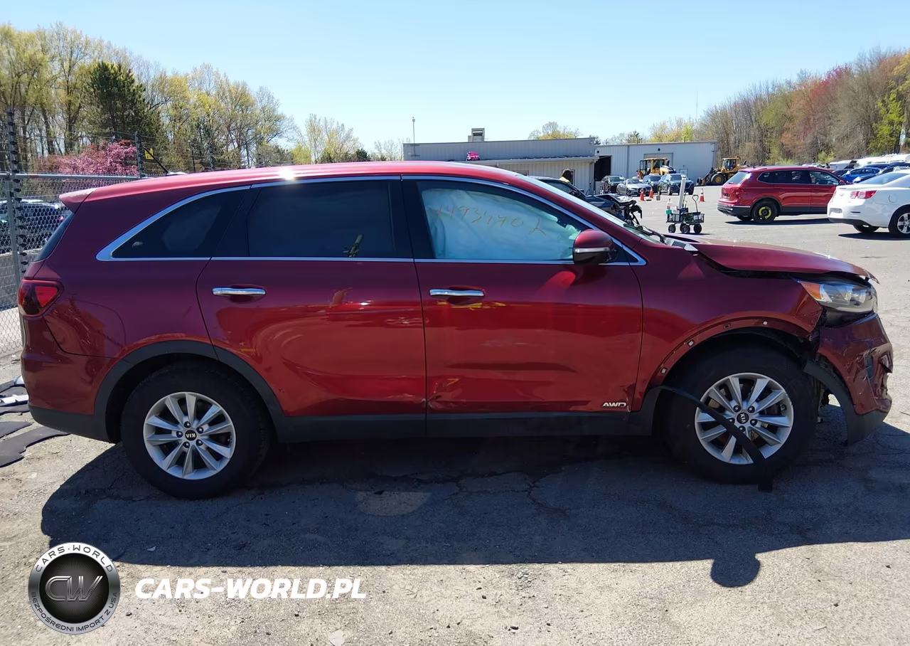 2019 Kia Sorento 2.4L Lx VIN:5XYPGDA35KG534571 - 12