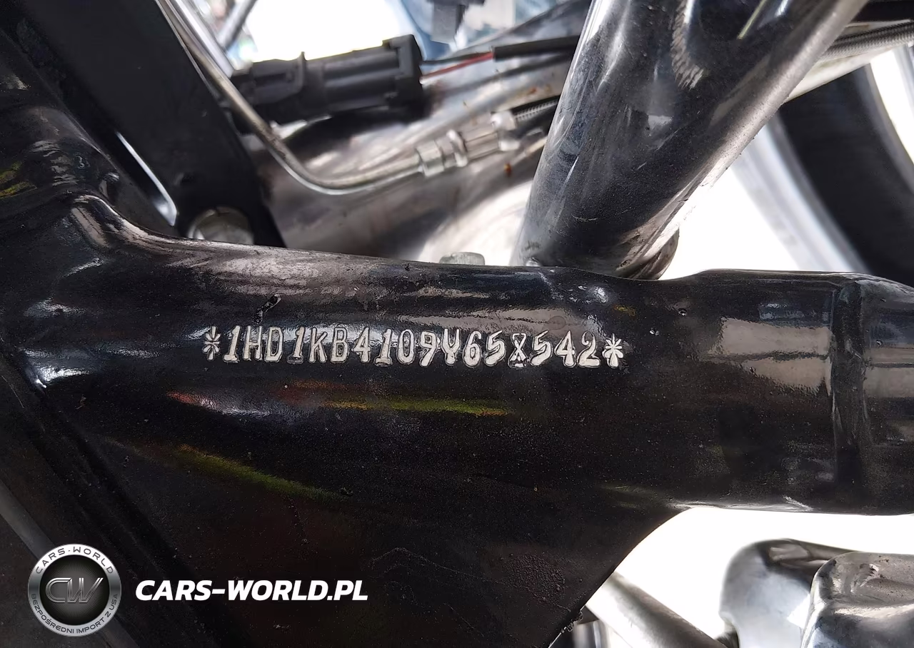 2009 Harley-Davidson Flhx VIN:1HD1KB4109Y658542 - 10