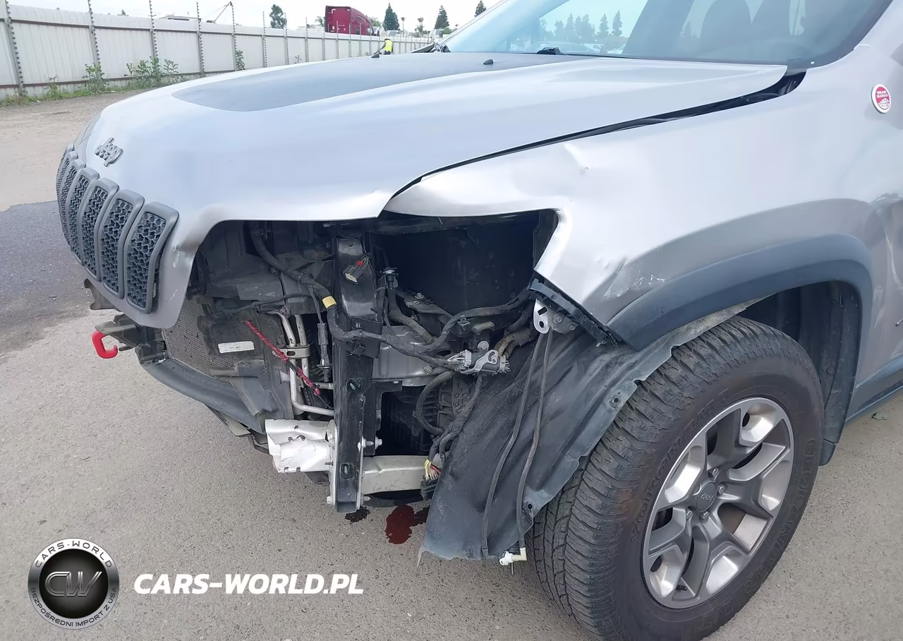 2019 Jeep Cherokee Trailhawk 4X4 VIN:1C4PJMBXXKD461733 - 19