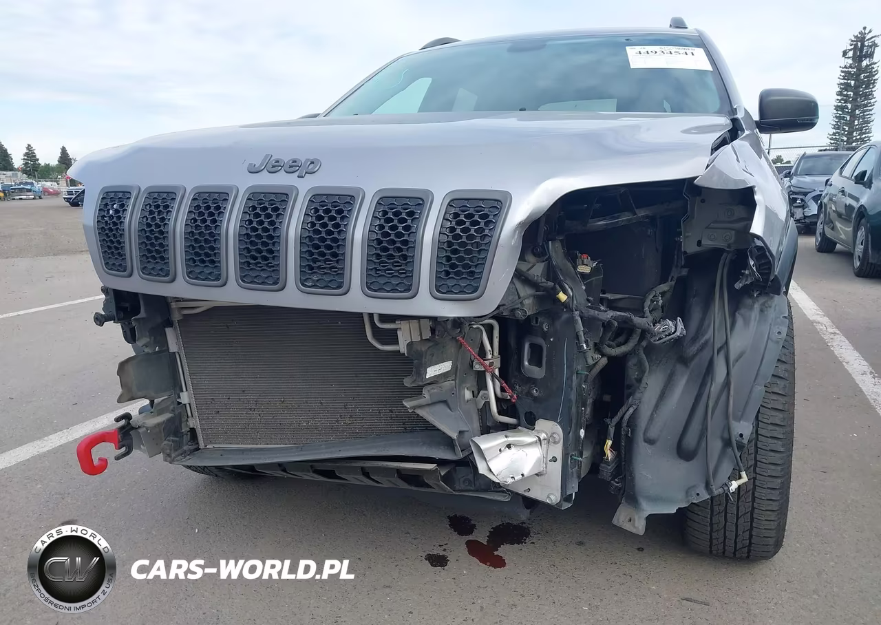 2019 Jeep Cherokee Trailhawk 4X4 VIN:1C4PJMBXXKD461733 - 6