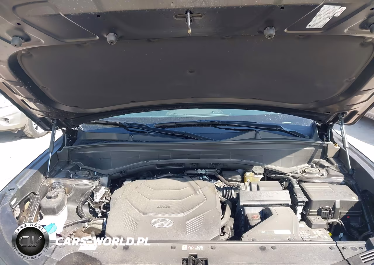 2025 Hyundai Palisade Sel VIN:KM8R2DGE9SU890239 - 10