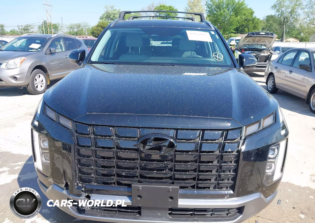 2025 Hyundai Palisade Sel VIN:KM8R2DGE9SU890239 - 13