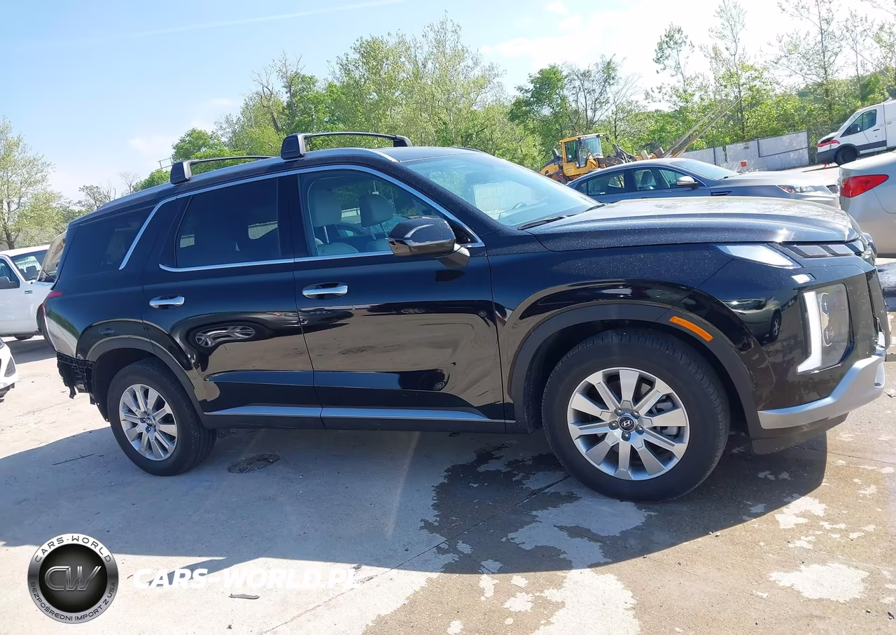 2025 Hyundai Palisade Sel VIN:KM8R2DGE9SU890239 - 14