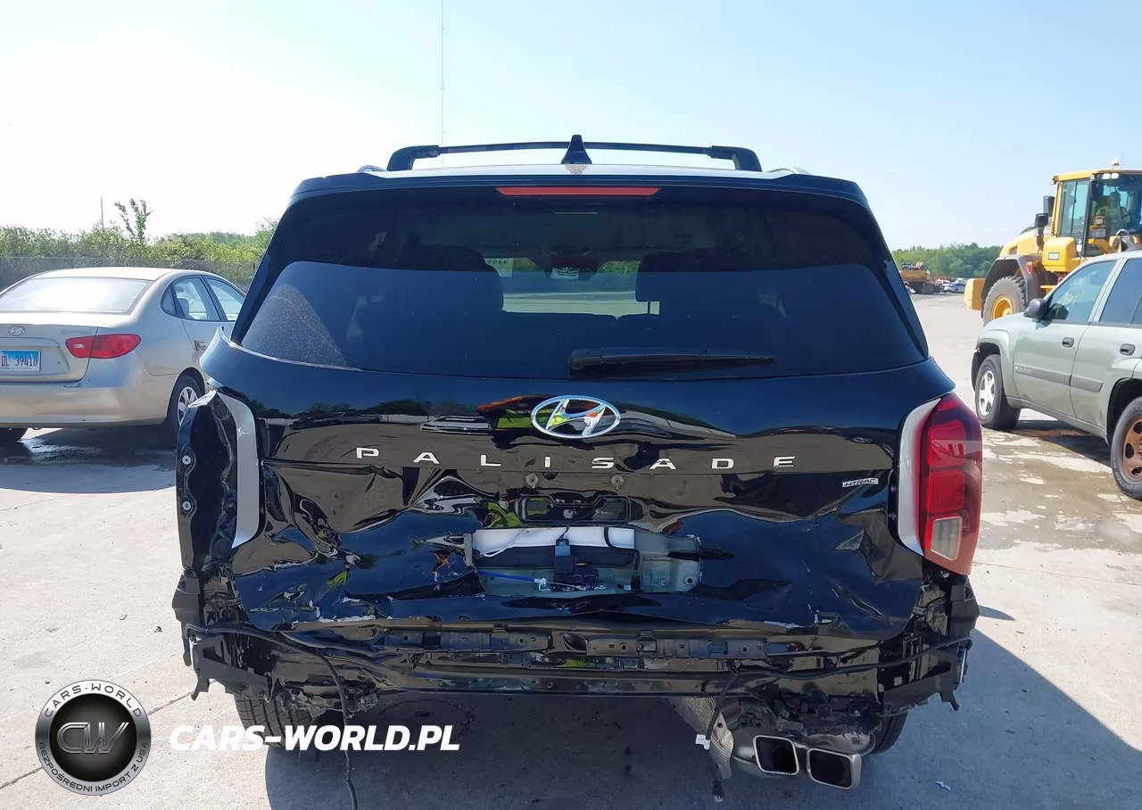2025 Hyundai Palisade Sel VIN:KM8R2DGE9SU890239 - 17