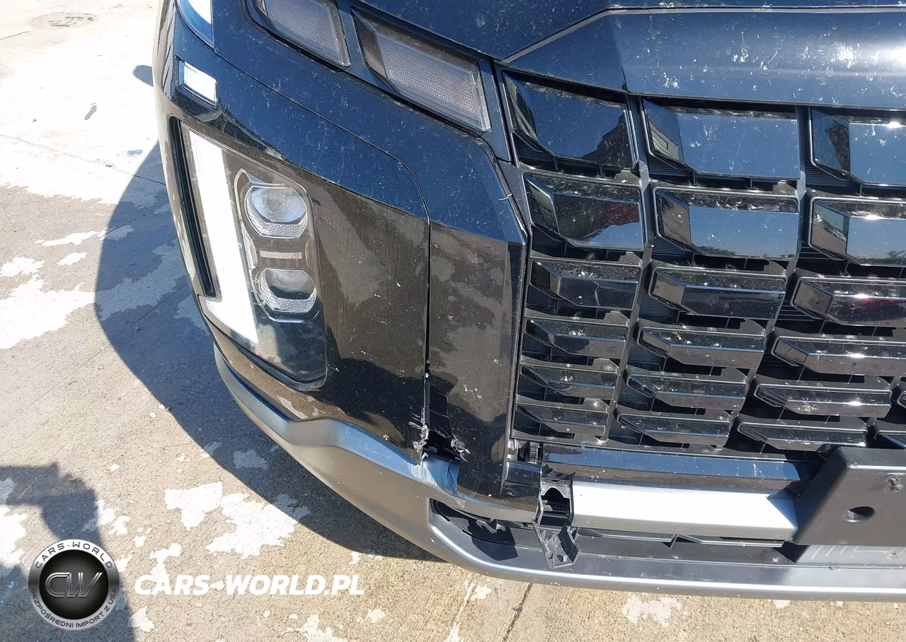 2025 Hyundai Palisade Sel VIN:KM8R2DGE9SU890239 - 18
