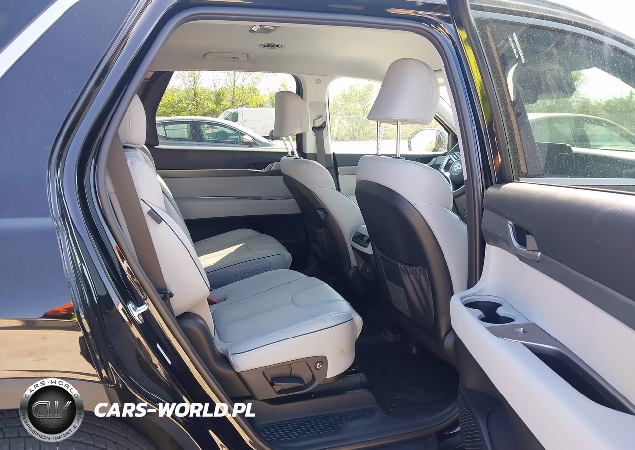 2025 Hyundai Palisade Sel VIN:KM8R2DGE9SU890239 - 8
