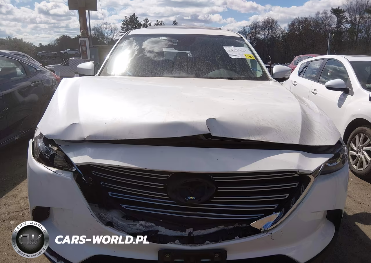2017 Mazda Cx-9 Touring VIN:JM3TCBCY9H0132971 - 12