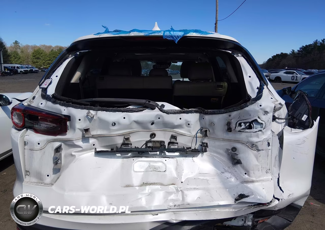 2017 Mazda Cx-9 Touring VIN:JM3TCBCY9H0132971 - 16