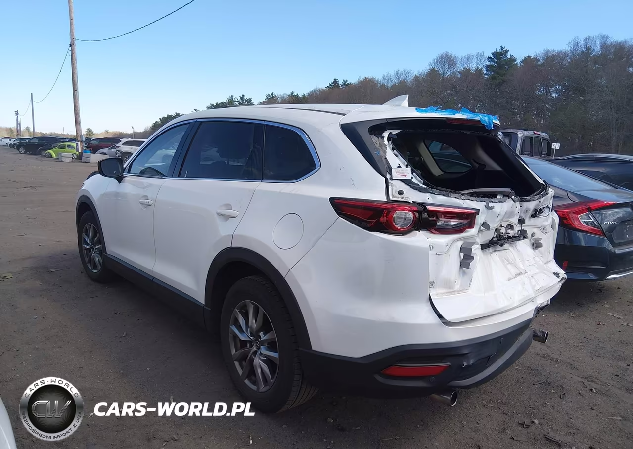 2017 Mazda Cx-9 Touring VIN:JM3TCBCY9H0132971 - 3