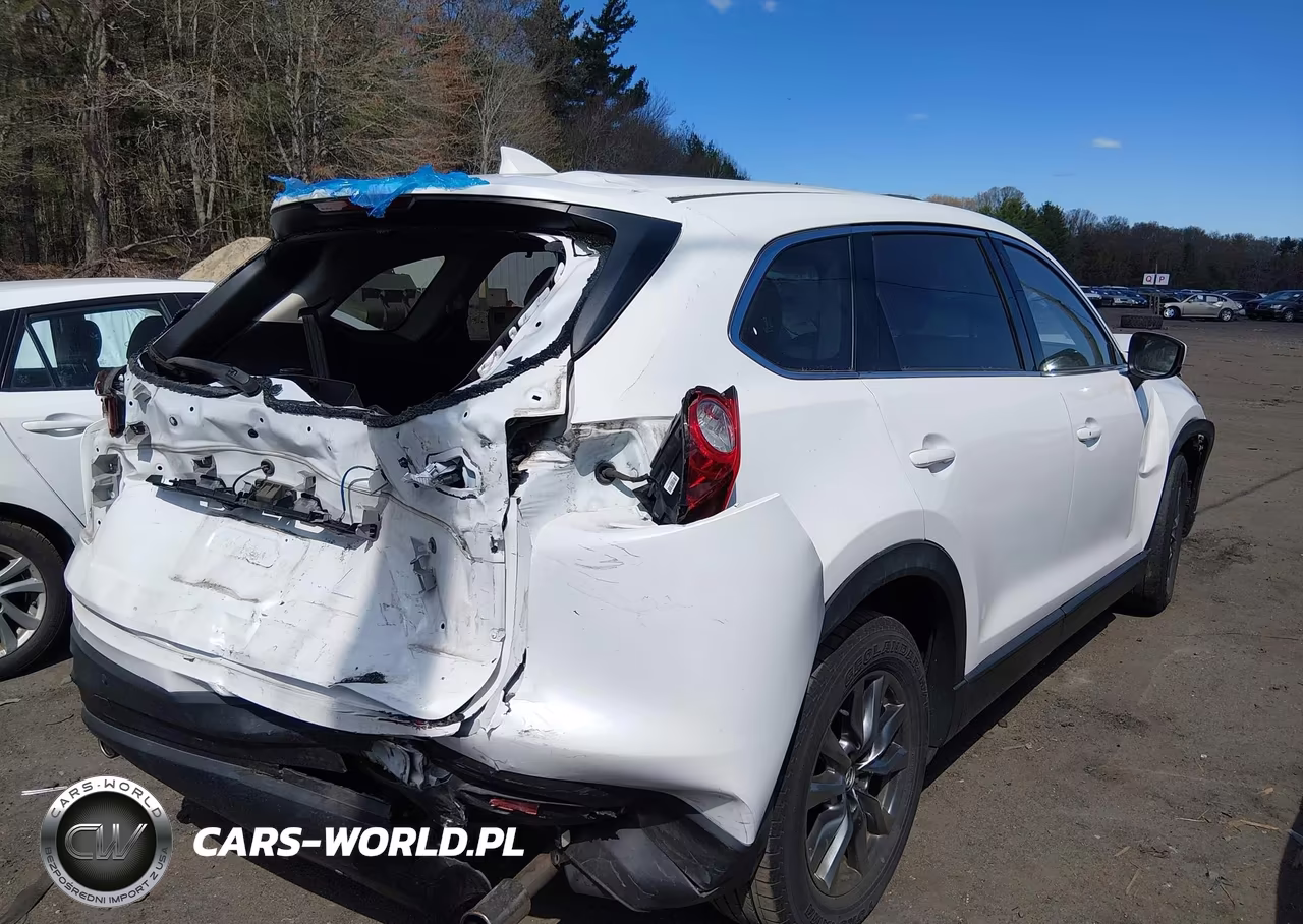 2017 Mazda Cx-9 Touring VIN:JM3TCBCY9H0132971 - 4
