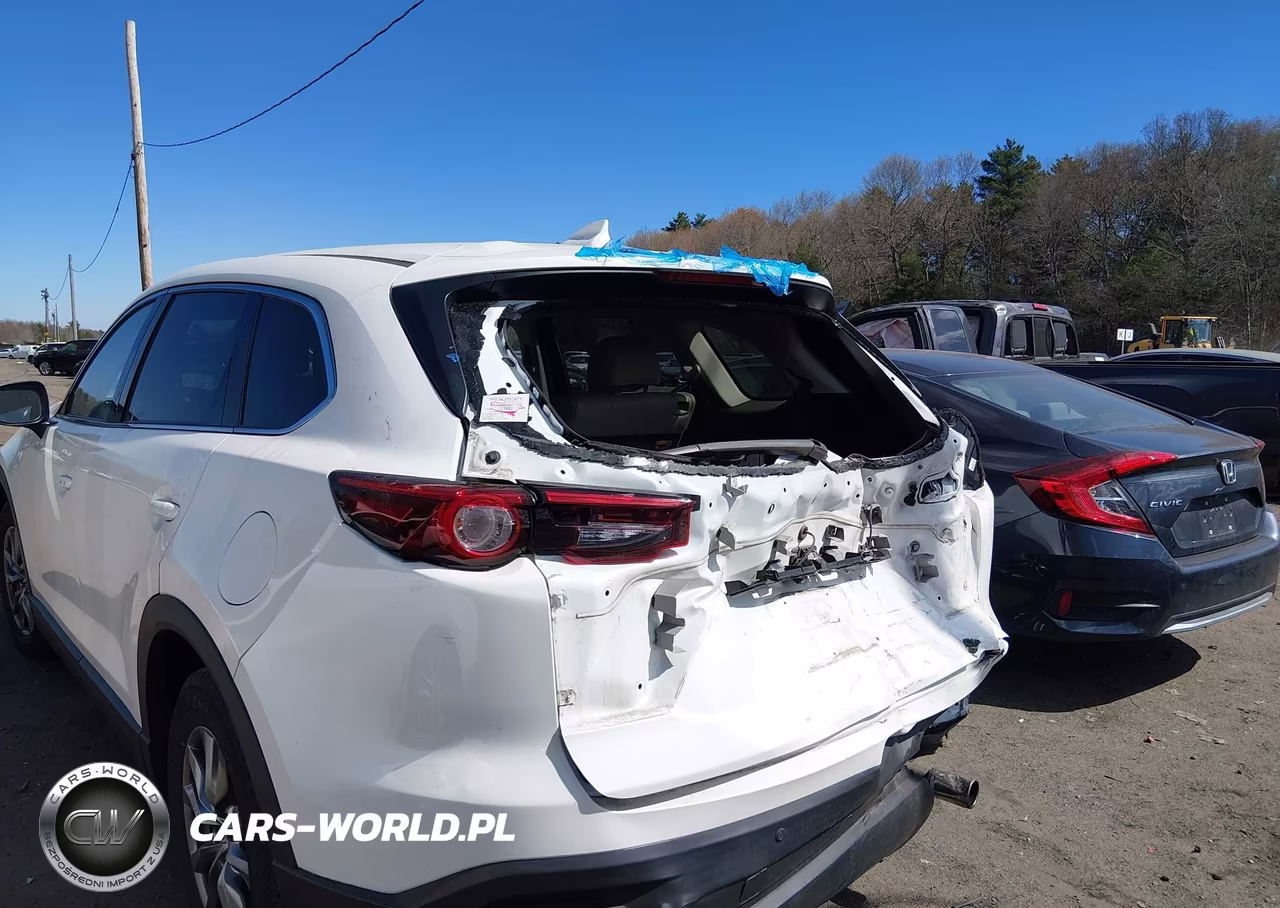 2017 Mazda Cx-9 Touring VIN:JM3TCBCY9H0132971 - 6