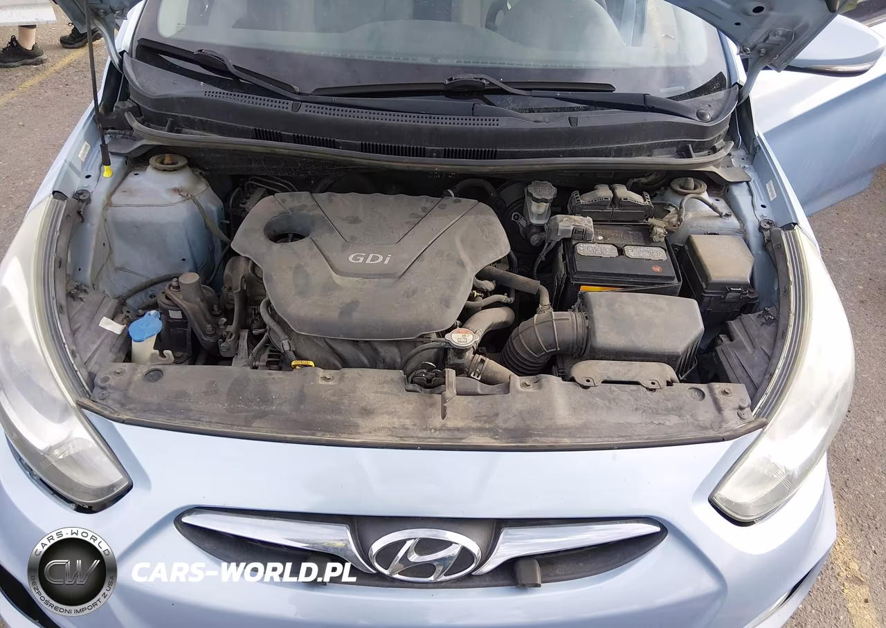 2013 Hyundai Accent Se VIN:KMHCU5AE6DU073652 - 10