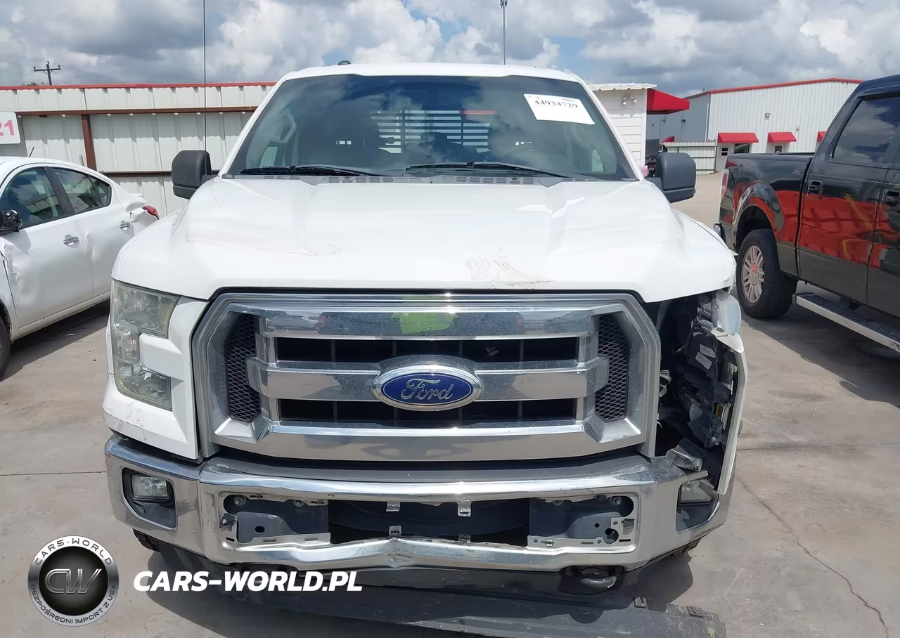 2015 Ford F-150 Xlt VIN:1FTEX1E83FFD09313 - 12