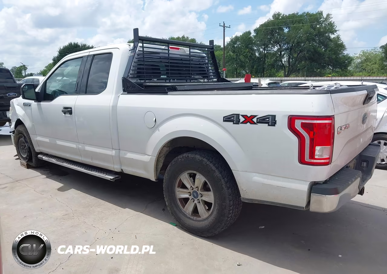 2015 Ford F-150 Xlt VIN:1FTEX1E83FFD09313 - 14