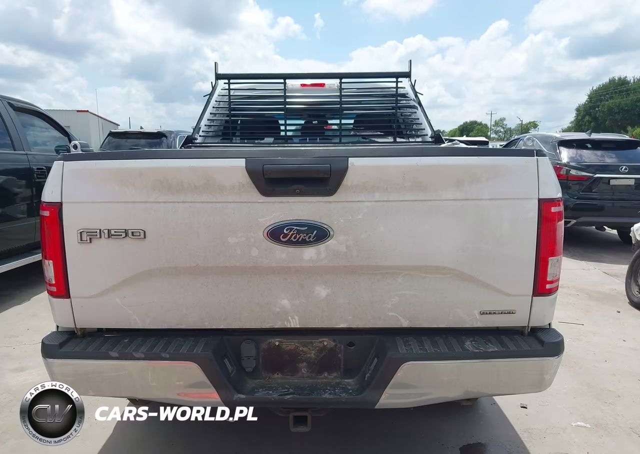 2015 Ford F-150 Xlt VIN:1FTEX1E83FFD09313 - 16
