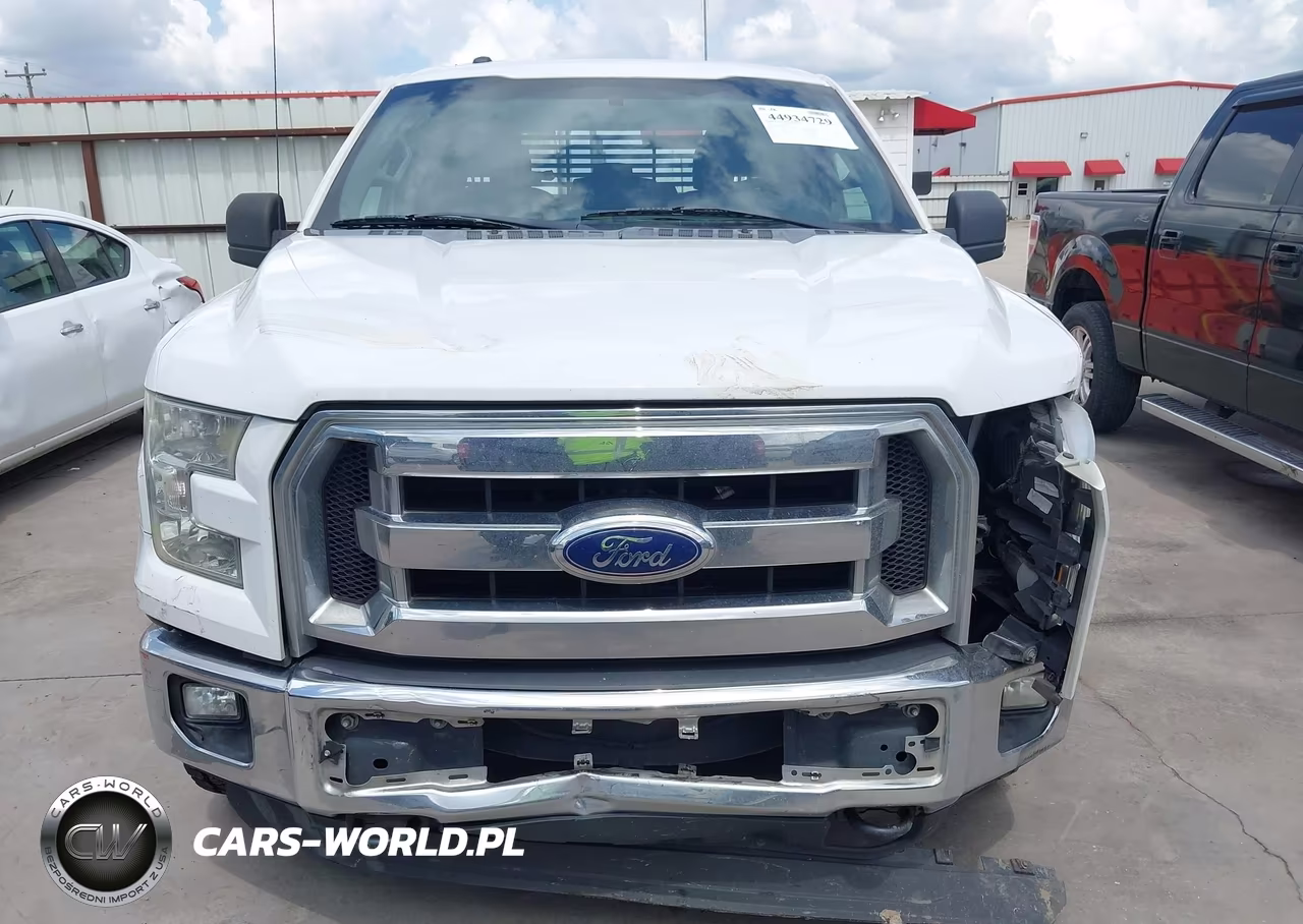 2015 Ford F-150 Xlt VIN:1FTEX1E83FFD09313 - 17