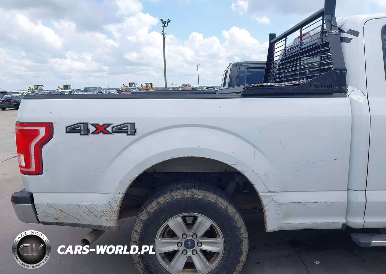 2015 Ford F-150 Xlt VIN:1FTEX1E83FFD09313 - 19