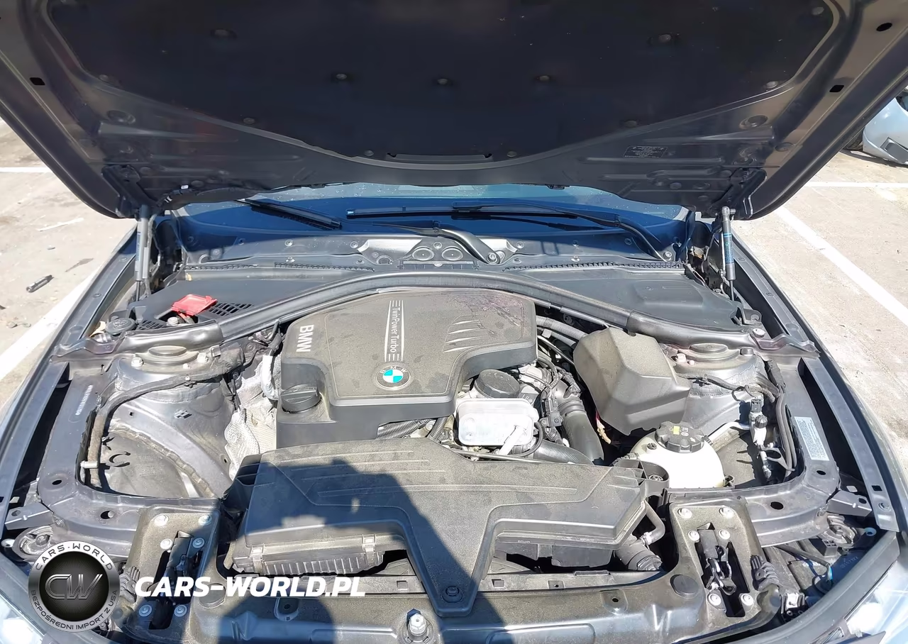 2015 BMW 320I VIN:WBA3B1G55FNT03296 - 10