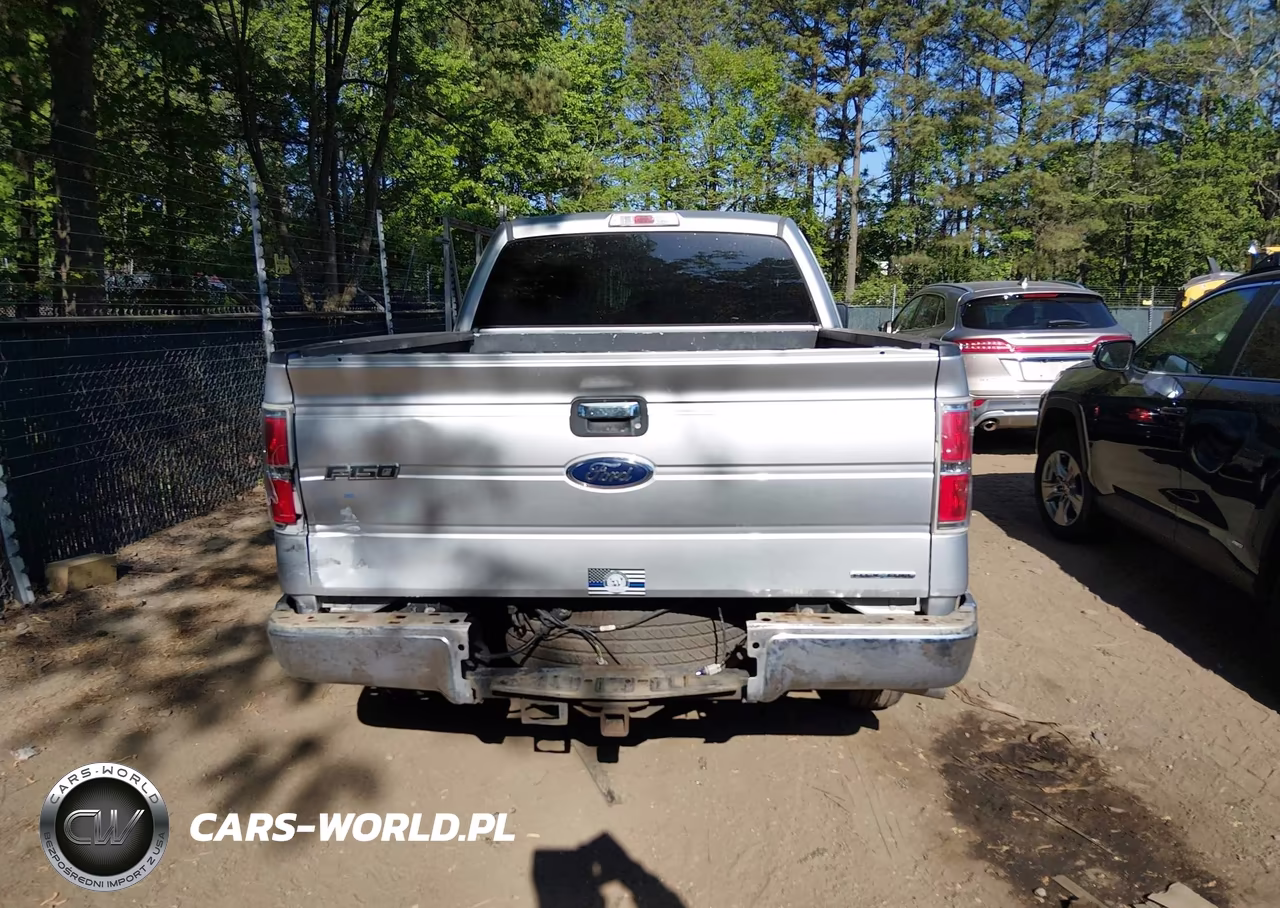 2013 Ford F-150 Xlt VIN:1FTFX1CF7DFD36890 - 16