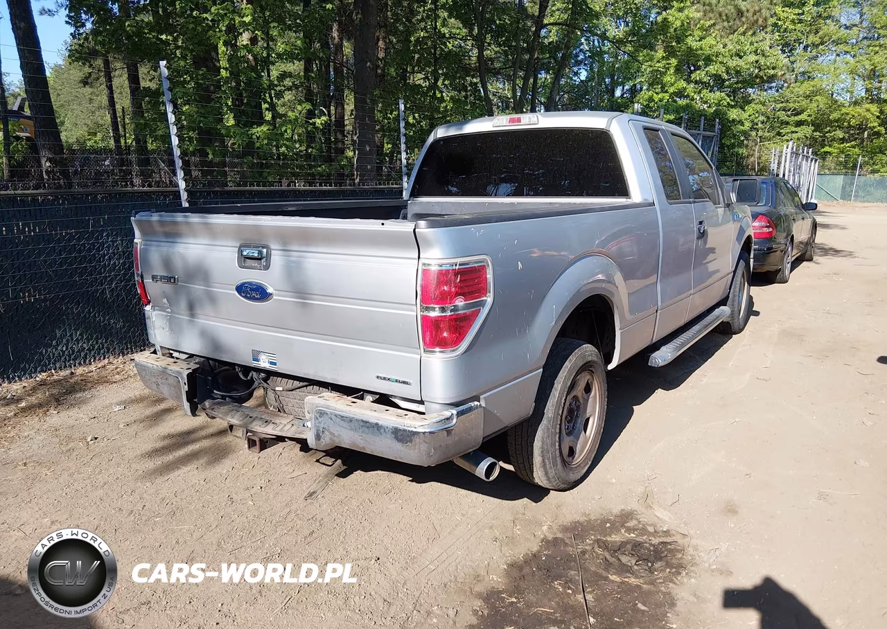 2013 Ford F-150 Xlt VIN:1FTFX1CF7DFD36890 - 4