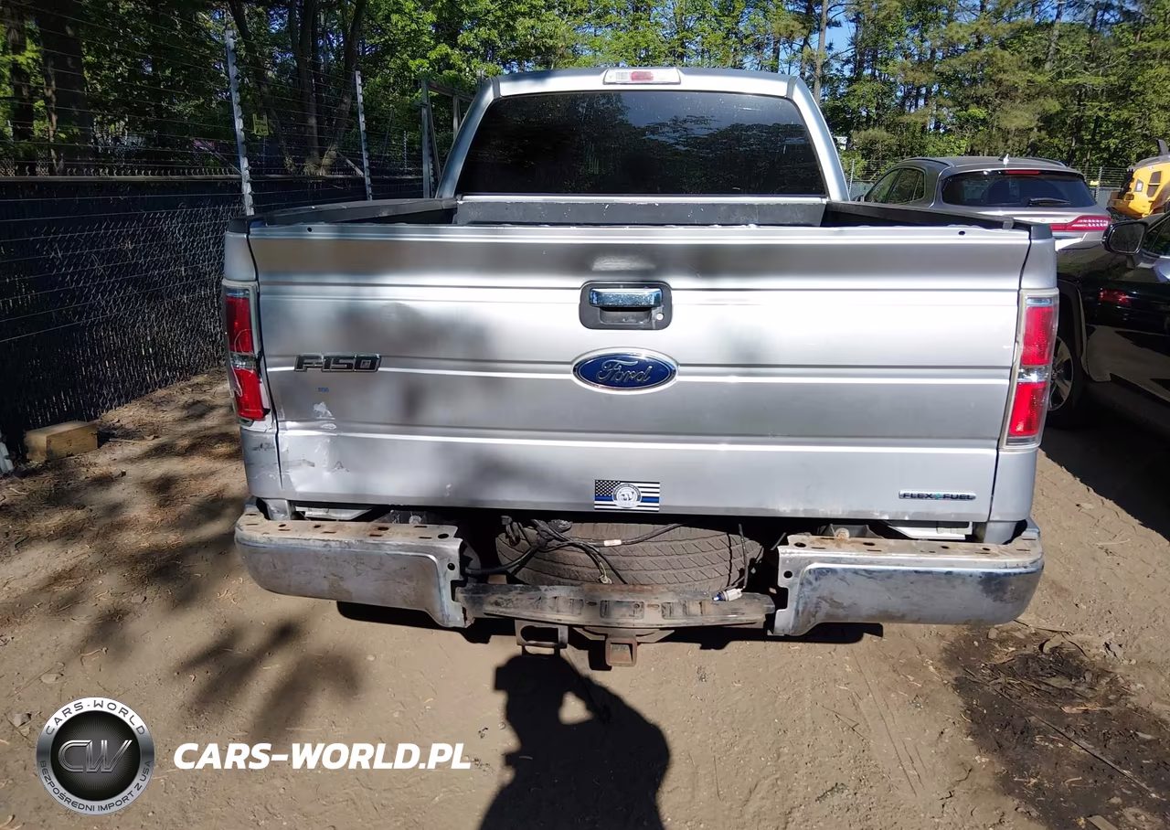 2013 Ford F-150 Xlt VIN:1FTFX1CF7DFD36890 - 6