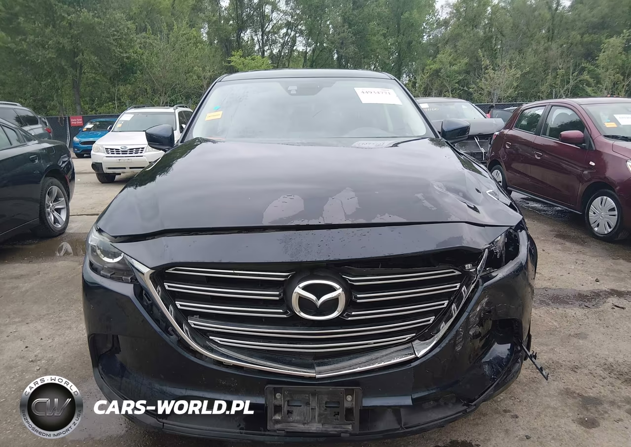2016 Mazda Cx-9 Touring VIN:JM3TCBCY7G0122292 - 12