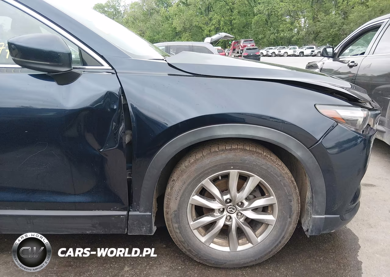 2016 Mazda Cx-9 Touring VIN:JM3TCBCY7G0122292 - 20