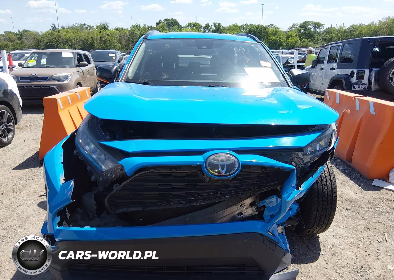 2019 Toyota Rav4 Le VIN:JTMH1RFV0KJ006739 - 12