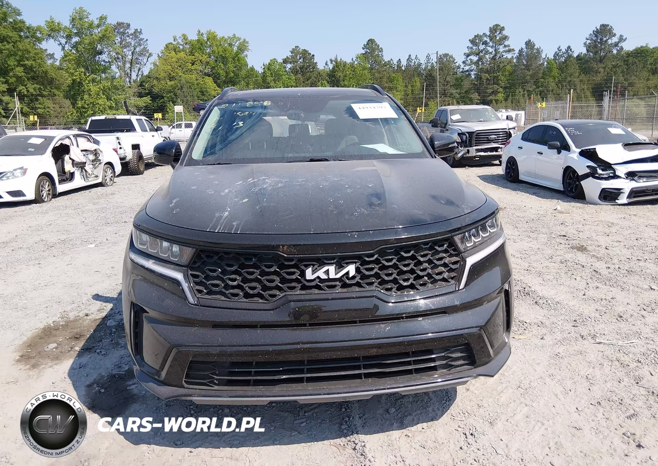 2023 Kia Sorento S VIN:5XYRL4LC9PG211858 - 13