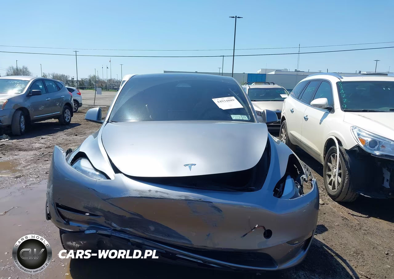 2025 Tesla Model Y Long Range Dual Motor All-Wheel Drive VIN:7SAYGDEE1SF297457 - 12